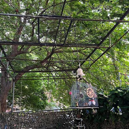 3 Room Flat In Tbilisi Luaran gambar